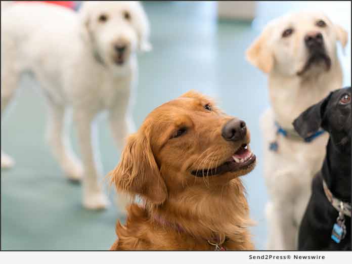 News Best Friends Pet Hotel Announces ESOP Acquisition Led by Mosaic